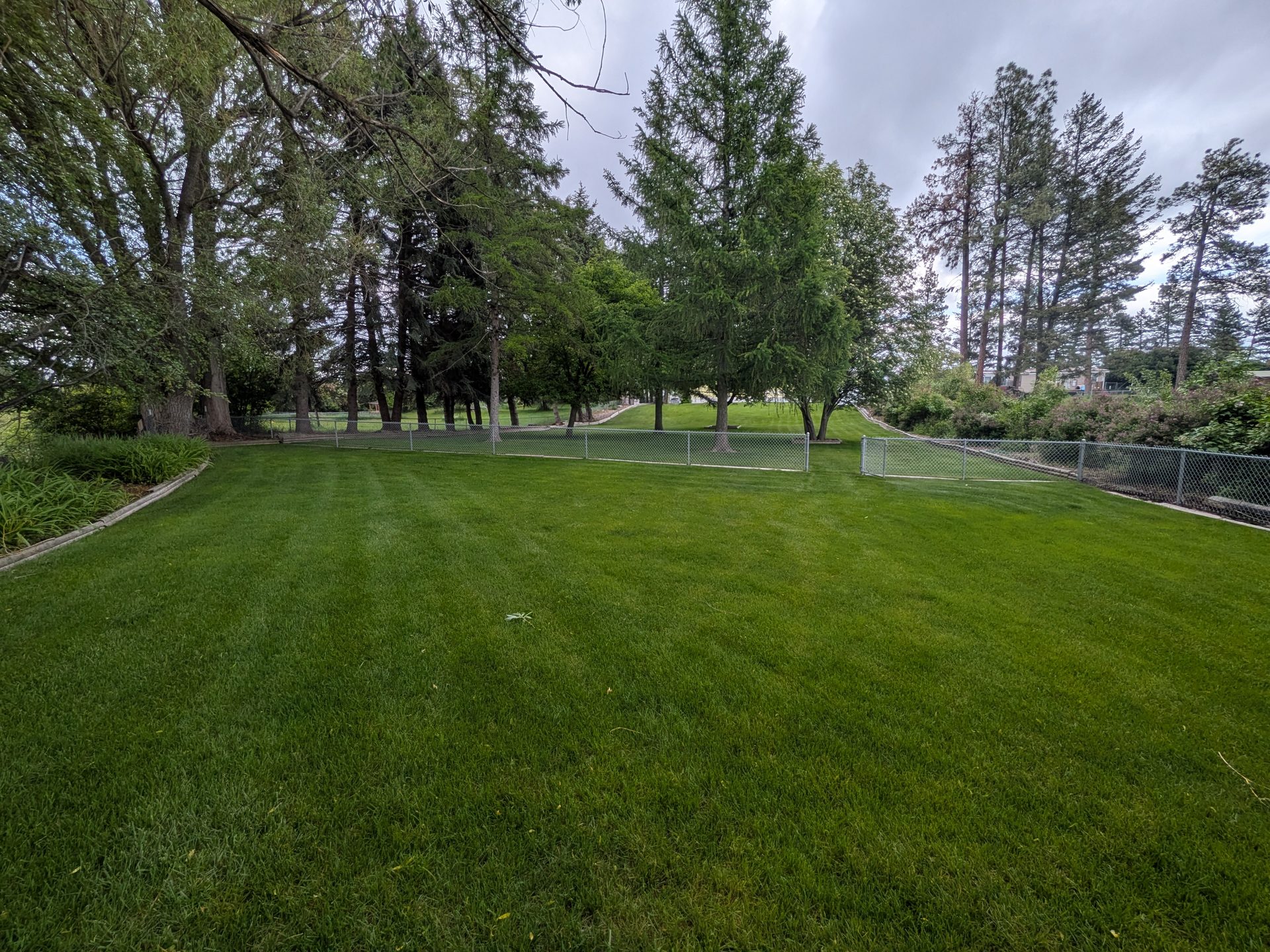 Open lawn and trees, dog-friendly space in the Flathead Valley